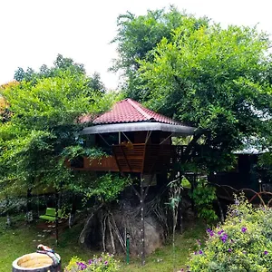 Hotel Treehouse Tabor Hills, Vagamon